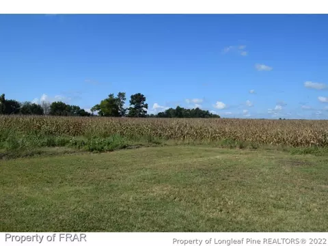 7220 Us Highway 401, Bunnlevel, NC 28323 photo 8