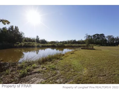 10784 Dunn Rd, Dunn, NC 28334 photo 4