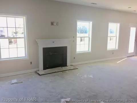 44 Race Ct, Godwin, NC 28344 photo 9