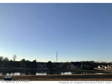 166 Saw Grass Ct, Bunnlevel, NC 28323 photo 13