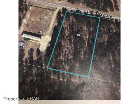 95 Mickey Rouse Ln, Cameron, NC 28326 photo 1