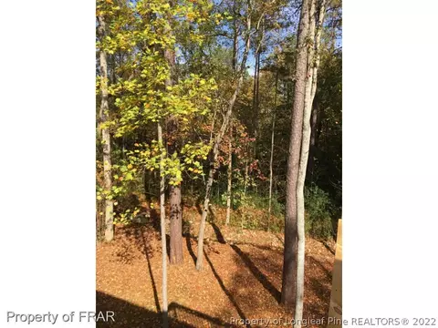 55 Bridle Path Cir, Pinehurst, NC 28374 photo 10