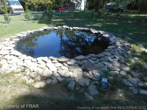 304 Third St, Broadway, NC 27505 photo 23