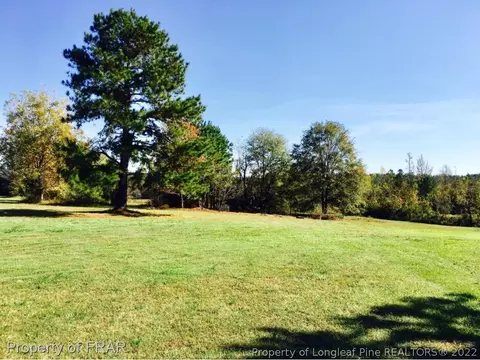 1763 Wire, Bunnlevel, NC 28323 photo 3