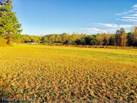 1763 Wire, Bunnlevel, NC 28323 photo 29