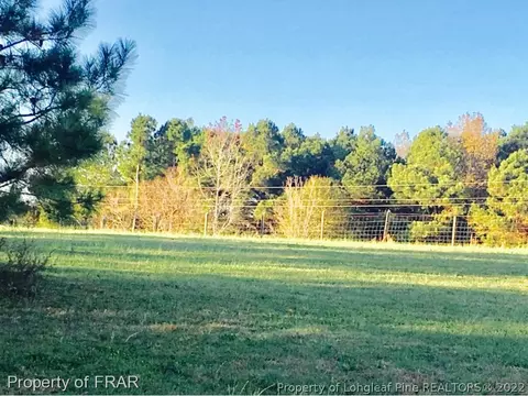 1763 Wire, Bunnlevel, NC 28323 photo 31