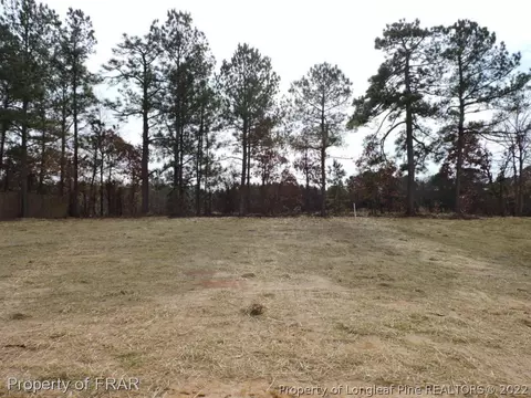 669 Juno Dr, Broadway, NC 27505 photo 23