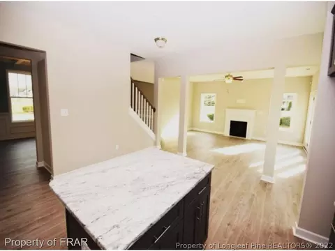 19 Walnut Grove Dr, Bunnlevel, NC 28323 photo 10