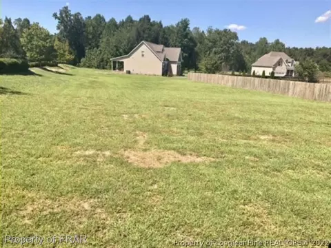 19 Walnut Grove Dr, Bunnlevel, NC 28323 photo 23