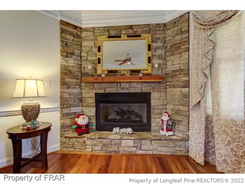 11500 Old Stage Rd, Willow Spring, NC 27592 photo 8