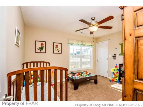 932 Raspberry Rd, Stedman, NC 28391 photo 9
