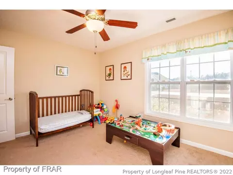 932 Raspberry Rd, Stedman, NC 28391 photo 10