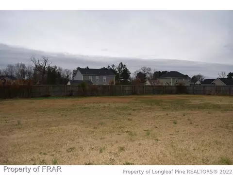 231 Declaration Dr, Raeford, NC 28376 photo 3