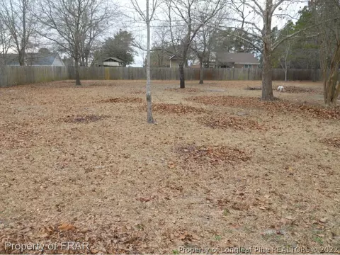 443 Lakeridge Dr, Cameron, NC 28326 photo 26
