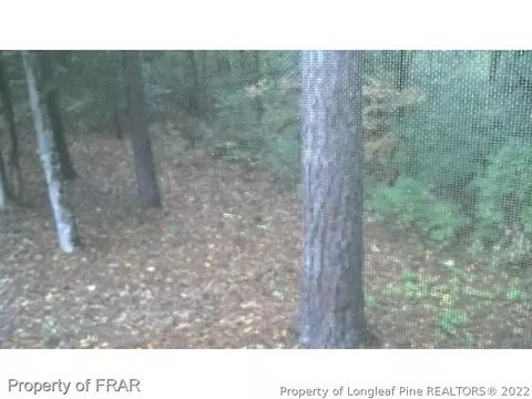 961 Thrush Dr, Vass, NC 28394 photo 32