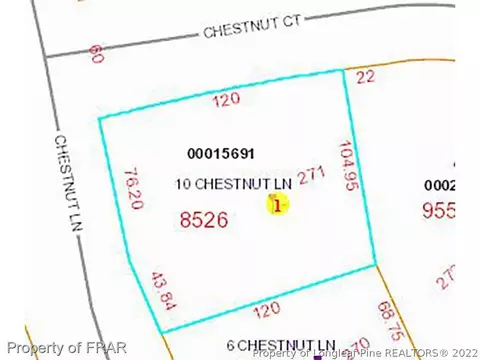 10 Chestnut Ln, Pinehurst, NC 28374 photo 30