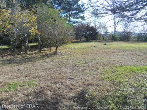 233 Francis Dr, Dunn, NC 28334 photo 5