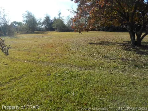 233 Francis Dr, Dunn, NC 28334 photo 2