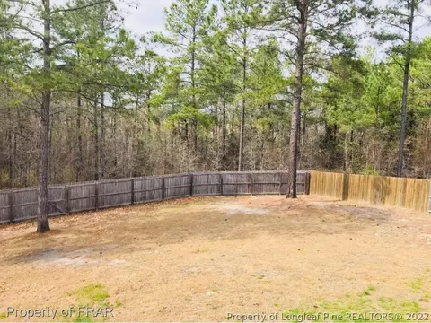 65 Ancient Oak Ct, Bunnlevel, NC 28323 photo 22