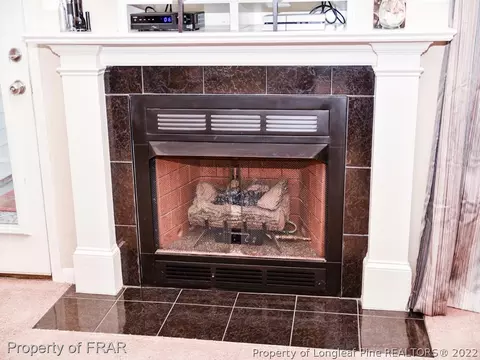 604 Abloom Ln, Stedman, NC 28391 photo 10