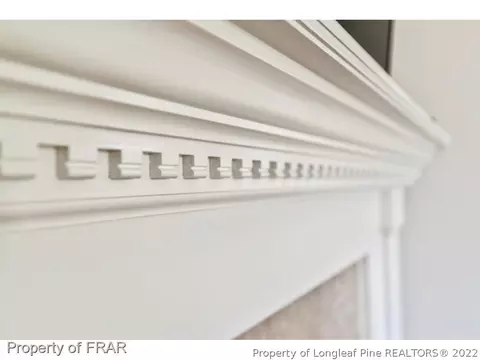 165 Tower Dr, Broadway, NC 27505 photo 15