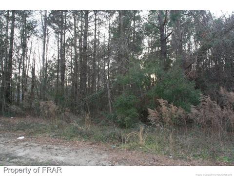 1618 Halsey Loop, Hope Mills, NC 28348 photo 1
