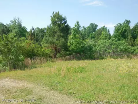 104 Character Ct, Bunnlevel, NC 28323 photo 2