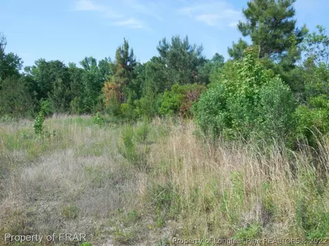 104 Character Ct, Bunnlevel, NC 28323 photo 1