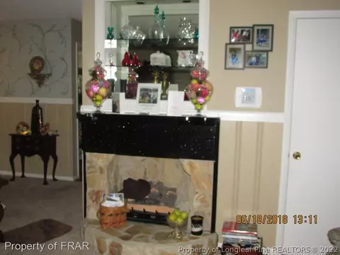 20 Page Rd, Godwin, NC 28344 photo 12