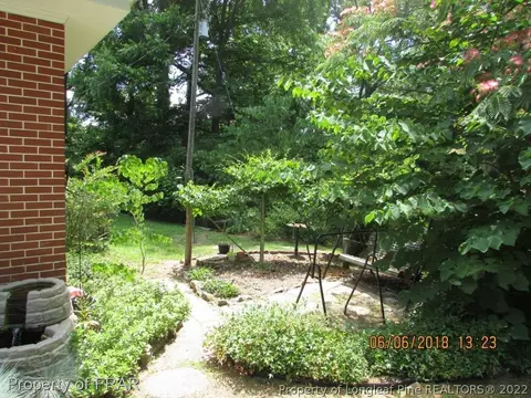20 Page Rd, Godwin, NC 28344 photo 3