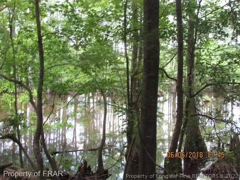 20 Page Rd, Godwin, NC 28344 photo 9