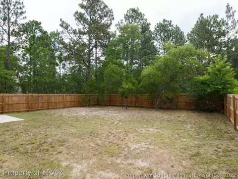 729 Thrush Dr, Vass, NC 28394 photo 33