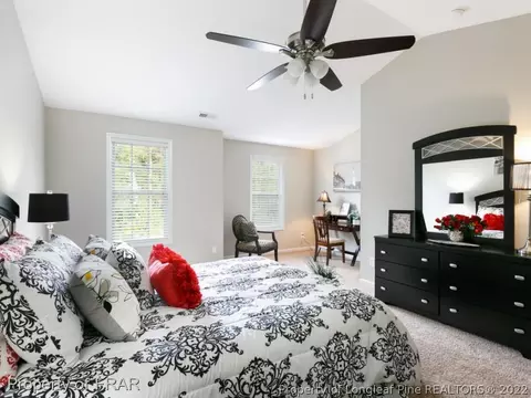 729 Thrush Dr, Vass, NC 28394 photo 27