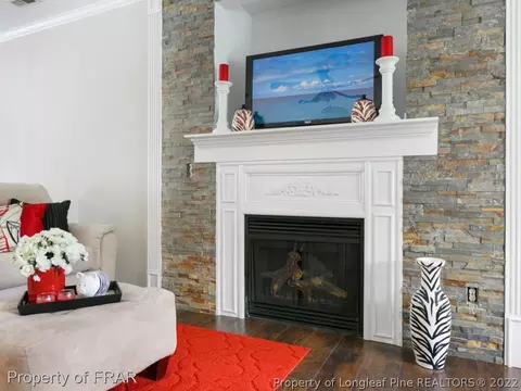 729 Thrush Dr, Vass, NC 28394 photo 3