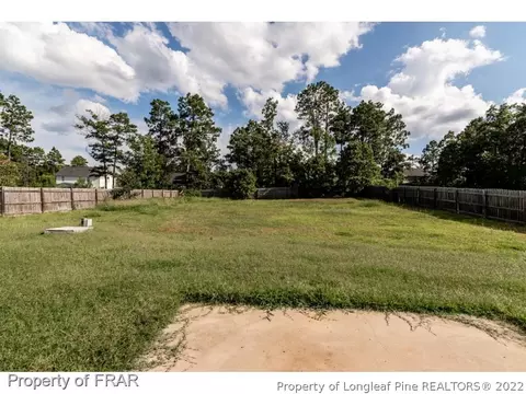 230 Strike Eagle Dr, Broadway, NC 27505 photo 14