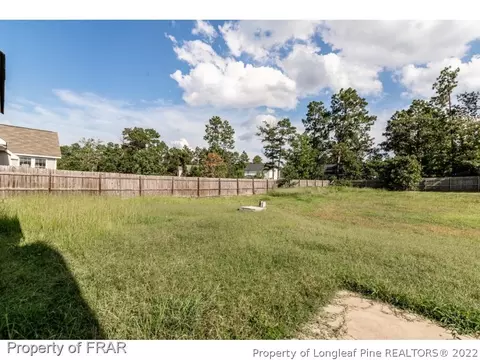 230 Strike Eagle Dr, Broadway, NC 27505 photo 15