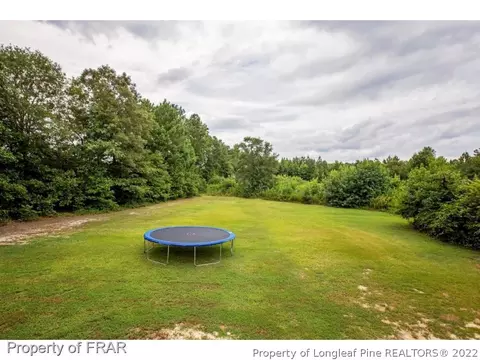 300 Lemuel Black Rd, Bunnlevel, NC 28323 photo 33