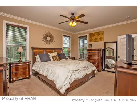 300 Lemuel Black Rd, Bunnlevel, NC 28323 photo 17