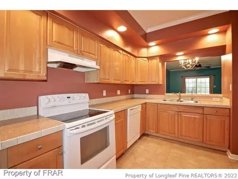560 Bald Eagle Dr, Vass, NC 28394 photo 3