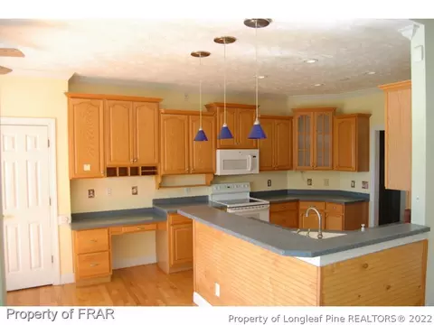 867 Seagull Dr, Vass, NC 28394 photo 9