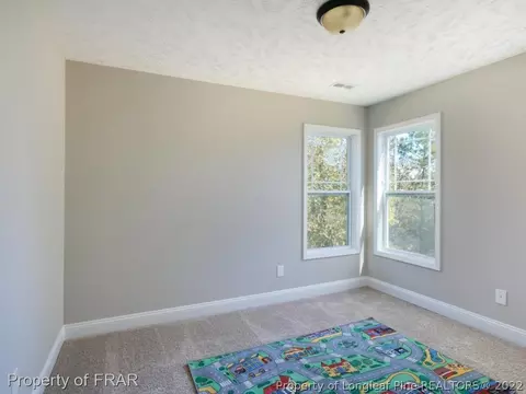 52 Spring Flowers Dr, Cameron, NC 28326 photo 22