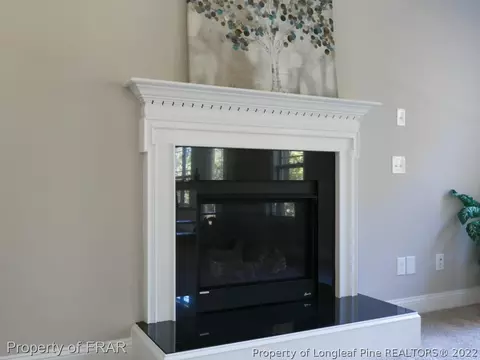 52 Spring Flowers Dr, Cameron, NC 28326 photo 18