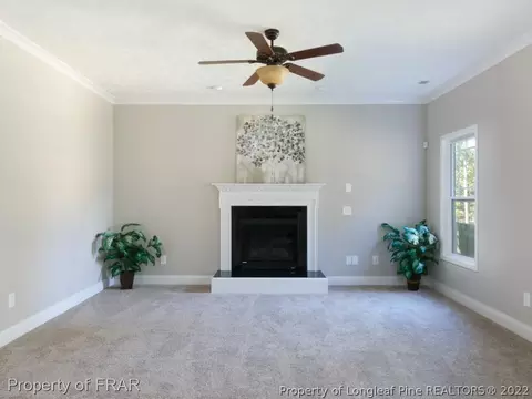 52 Spring Flowers Dr, Cameron, NC 28326 photo 16