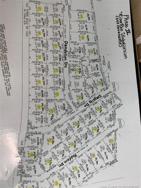 Dandelion Drive, Lumberton, NC 28360
