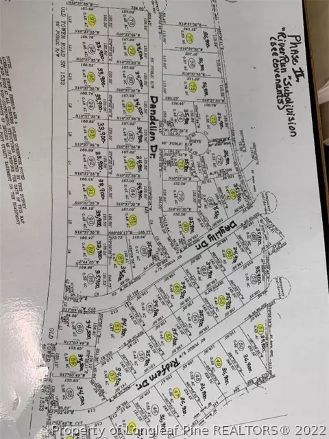 Dandelion Drive, Lumberton, NC 28360