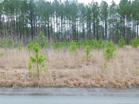 81 Ithica Ln, Bunnlevel, NC 28323 photo 1
