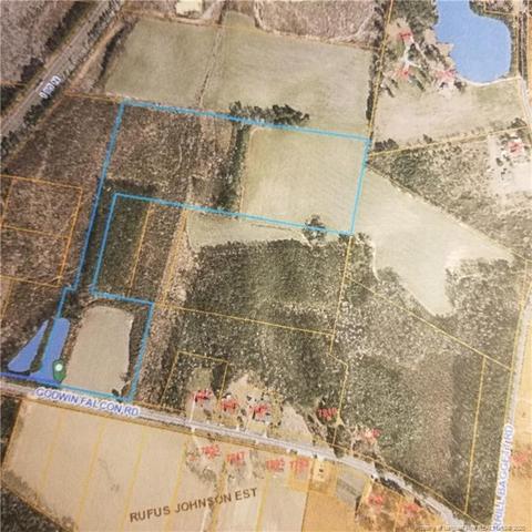 7776 Godwin Falcon Rd, Godwin, NC 28344 photo 1