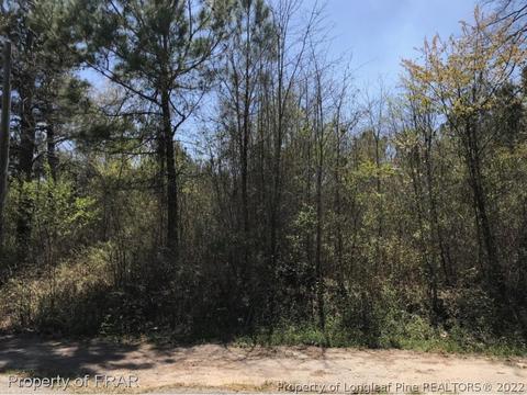 212 King Richard Court, Red Springs, NC 28377