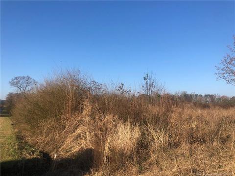 tbd Tobacco Rd, Orrum, NC 28369 photo 2