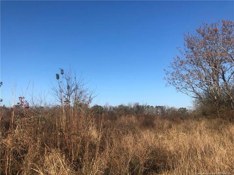 tbd Tobacco Rd, Orrum, NC 28369 photo 8
